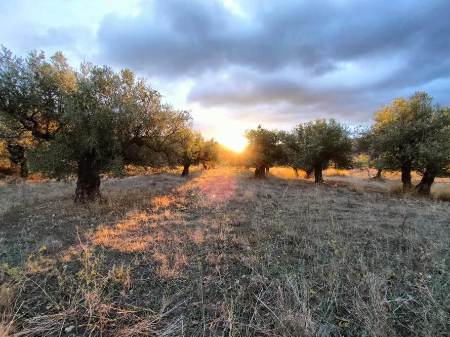 Casa Lourdes Βίλα Yeste Εξωτερικό φωτογραφία