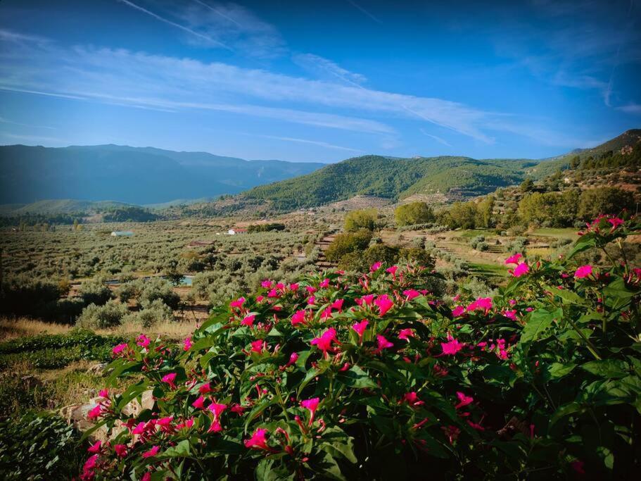 Casa Lourdes Βίλα Yeste Εξωτερικό φωτογραφία