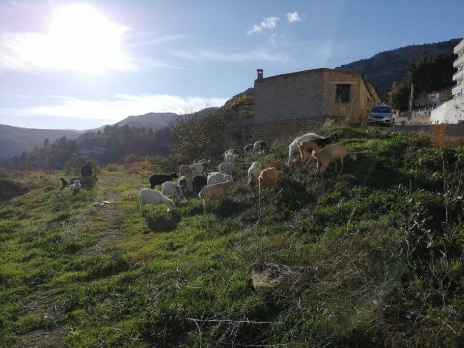 Casa Lourdes Βίλα Yeste Εξωτερικό φωτογραφία